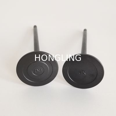 37504-30200 Mitsubishi Heavy Industries Spare Parts 37504-30100 37504-48400 S6R S6R2 S6R-MTK3 Valve IN