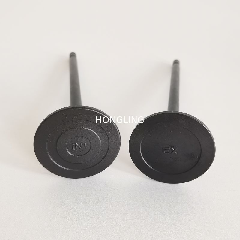 37504-30200 Mitsubishi Heavy Industries Spare Parts 37504-30100 37504-48400 S6R S6R2 S6R-MTK3 Valve IN